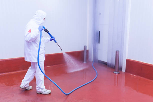 Best Spring Cleaning  in Boone, NC